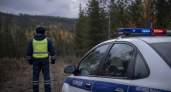 В Приангарье охотник случайно застрелил человека при пристрелке тепловизионного прицела