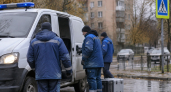 Мендель раскрыла причину раздражения Зеленского из-за эвакуации в Алешках