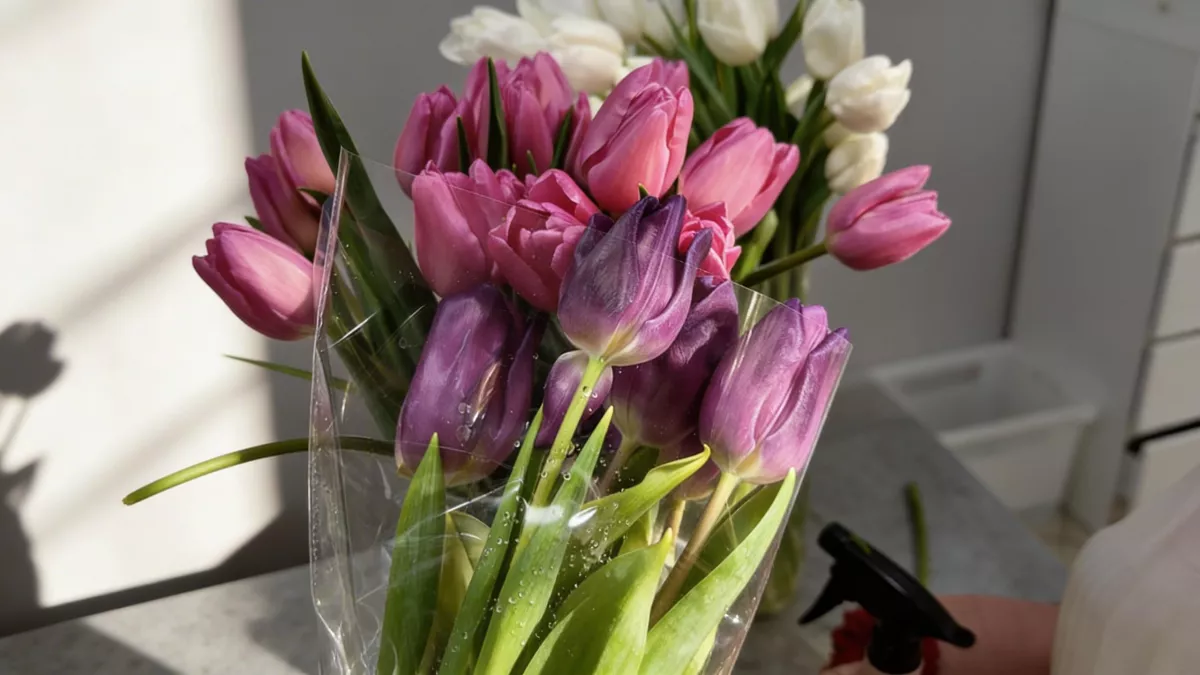 Мультистайлеры обогнали золото: продажи выросли на 150% к 8 Марта