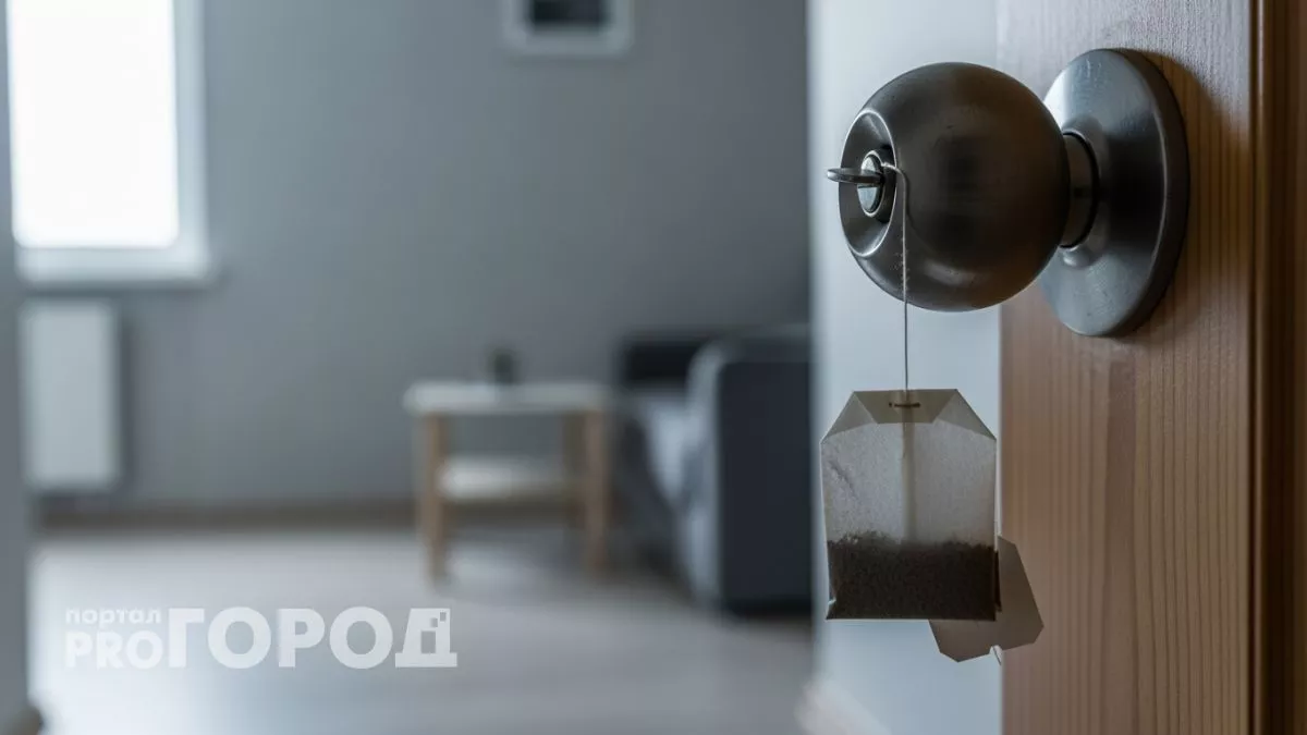 Кладу чайный пакетик за батарею и забываю про химические освежители: дешево и работает месяцами