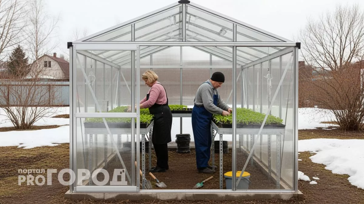 Забудьте про пленку и поликарбонат: этот материал для теплиц не требует замены целых 30 лет