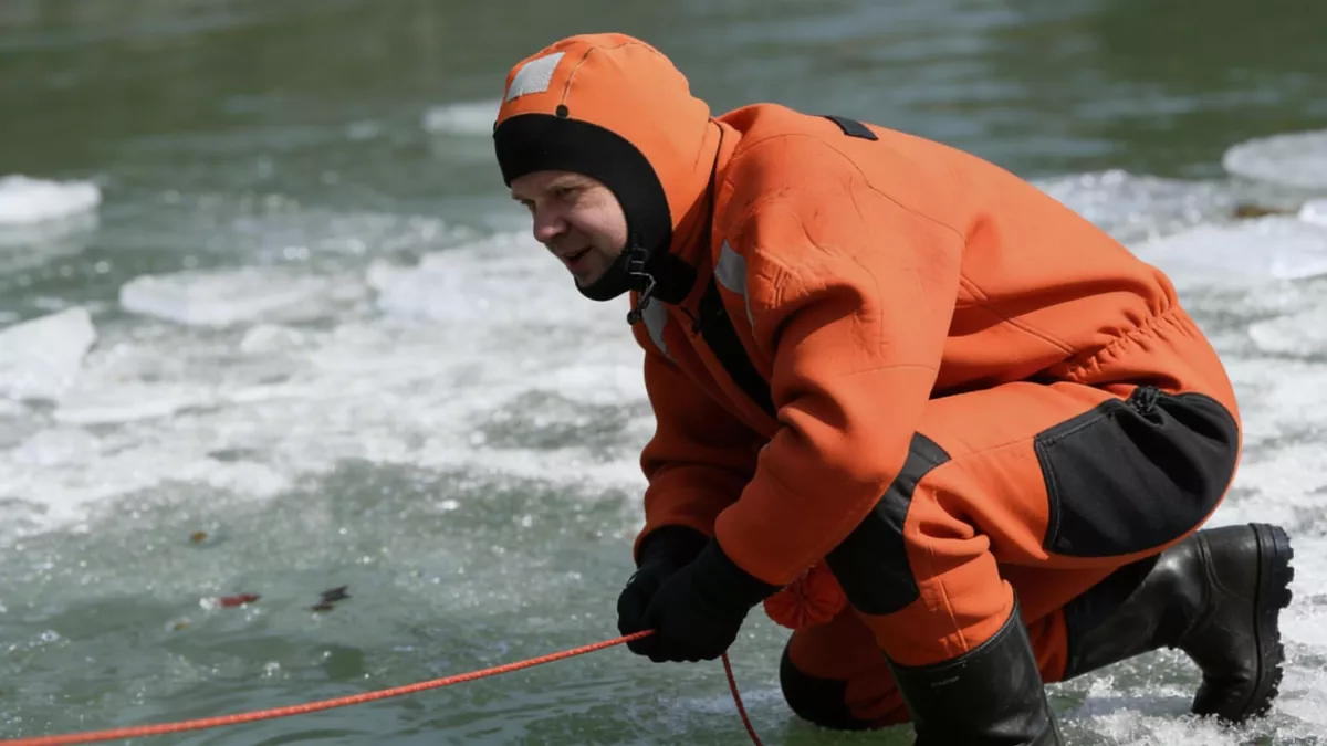 915 тысяч квадратных метров: масштабы поисков троих детей в Звенигороде поражают