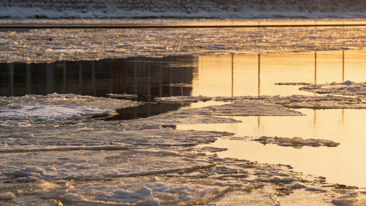 Тело девушки вмерзло в лед и всплыло у школы в Петербурге