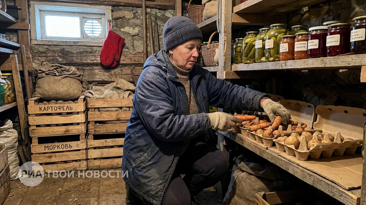 Перестала выкидывать пустые лотки из-под яиц, и теперь они бесплатно заменяют мне дорогие магазинные органайзеры