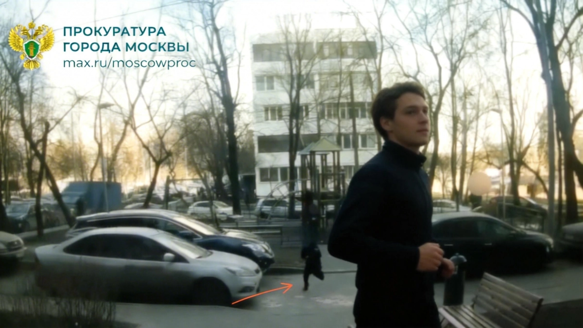 Восьмилетний мальчик сбит во дворе дома в Бирюлёво — прокуратура на контроле