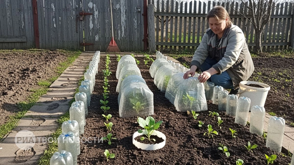 Перестала выбрасывать пластиковые бутылки: теперь к весне делаю семь полезных приспособлений для дачи