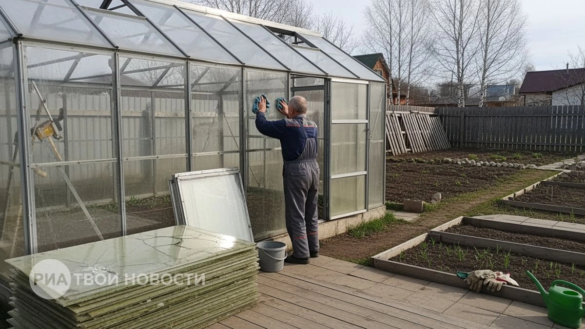 Забудьте про поликарбонат: эта бюджетная замена для теплицы прослужит годы без потеков и трещин на солнце