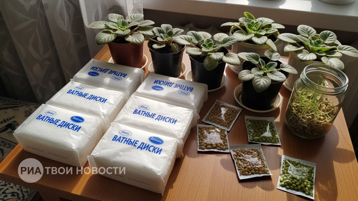 Больше не трачу ватные диски на лицо: нашла семь способов применения в быту, которые упростили уборку дома