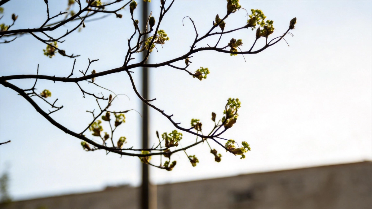 На Пасху в Астрахани и Оренбуржье потеплеет до +21 градуса