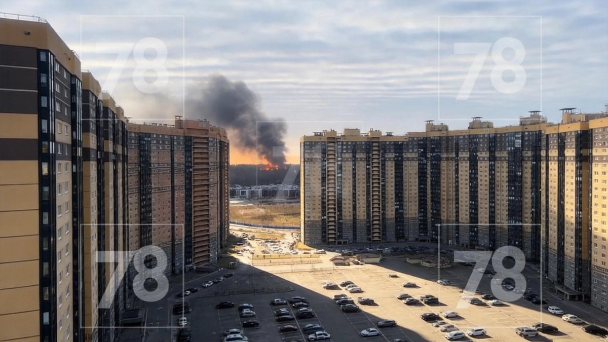 Автомобиль вспыхнул у автосервиса на Парнасе: к месту выехали 10 спасателей