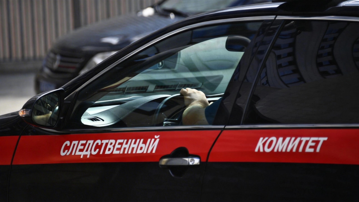 СК возбудил дело против иноагента Беленькой — её могут объявить в розыск