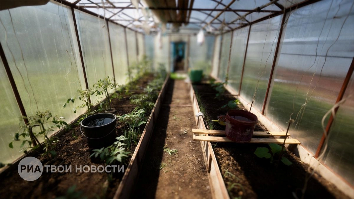 Новые правила для дачников с 1 мая: проверьте свои теплицы сейчас чтобы избежать крупных штрафов и сноса