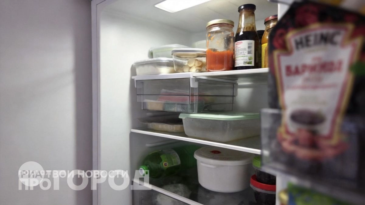 Лишние траты электричества из-за ошибок в настройках: как правильно менять режимы холодильника по сезонам