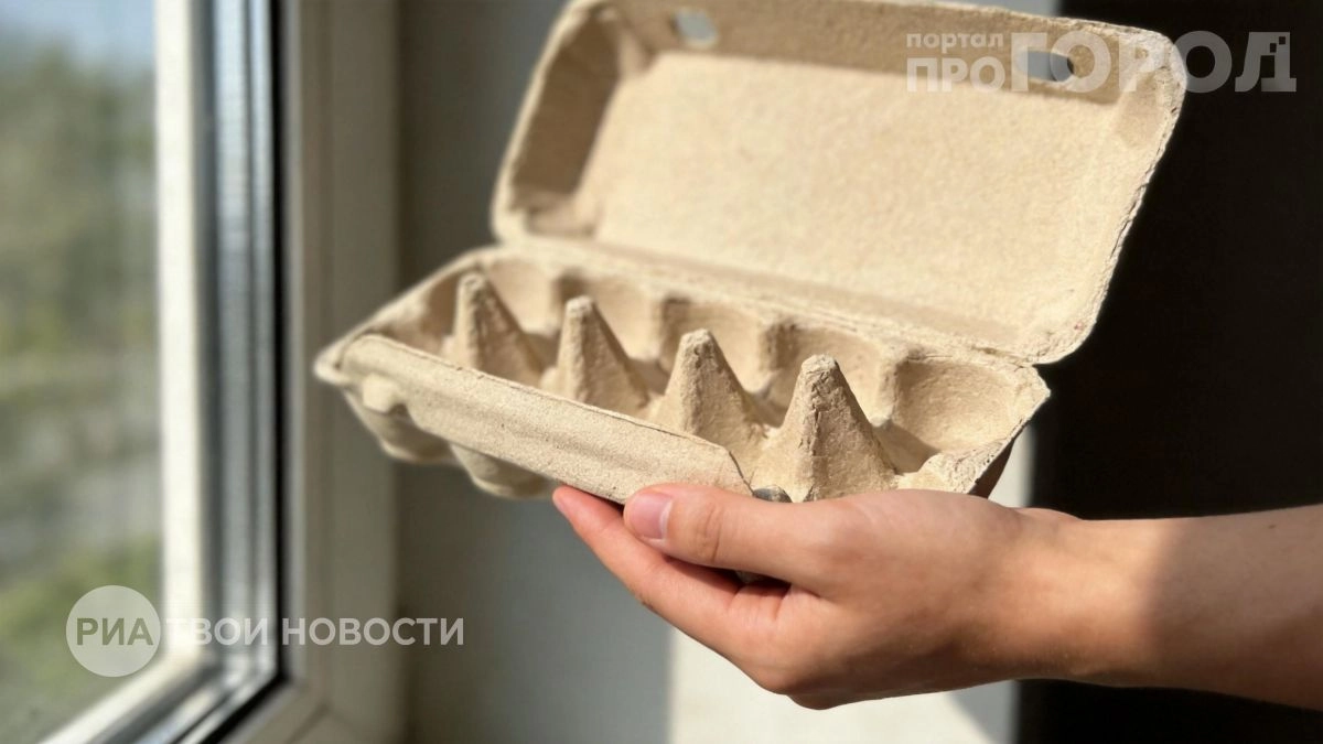 Перестала выбрасывать яичные лотки: теперь они помогают мне в огороде и дома лучше покупных средств