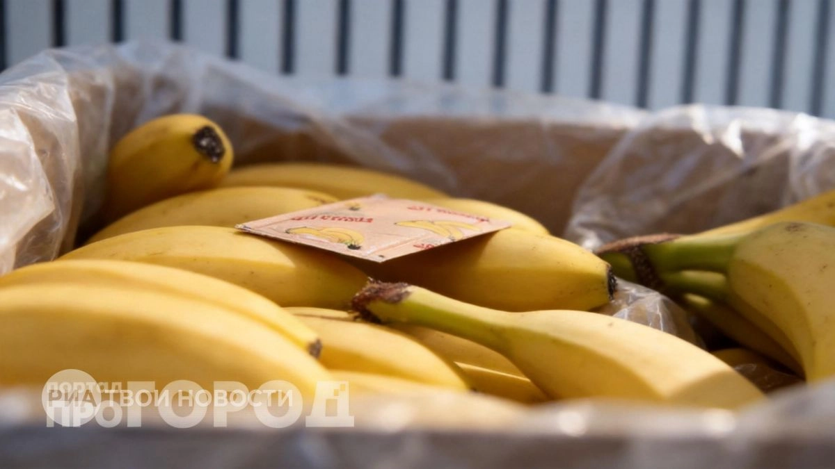 Больше не выбрасываю пакетики из ящиков с бананами: теперь забираю их домой вслед за продавцами из магазинов