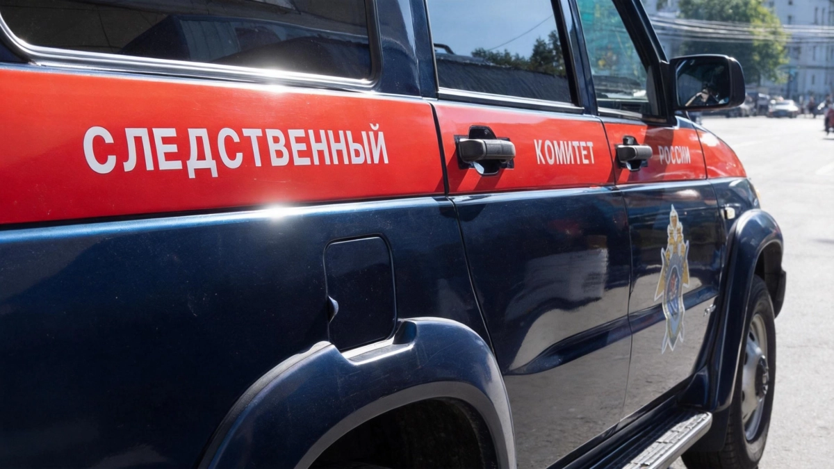 В Забайкалье раскрыта схема взяток за геологические заключения: 10 компаний за два года