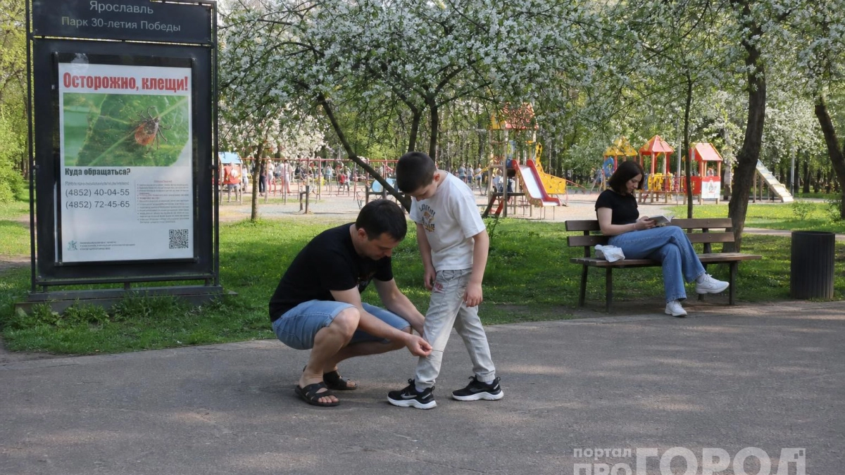 Опрыскайте обувь 1 простым средством: ни один клещ на метр не подползет - даже если вы пойдете в лесную чащу