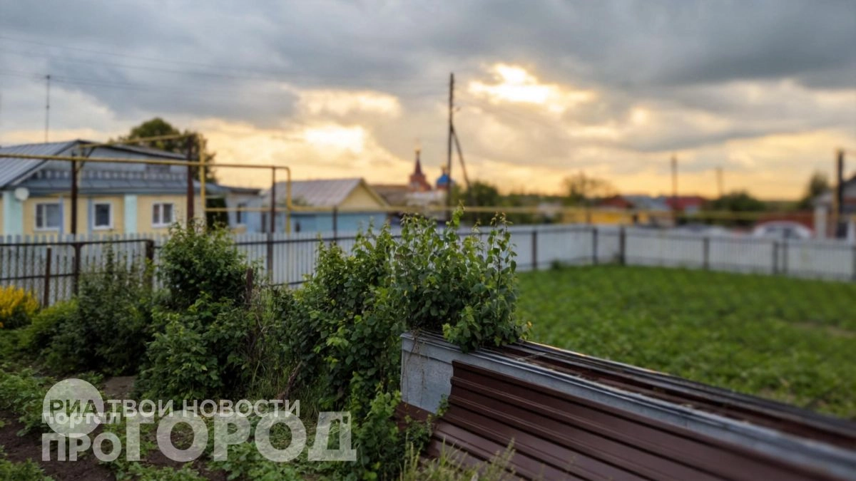 Забудьте про откачку выгребной ямы: инженер назвал два простых средства для полного разложения отходов