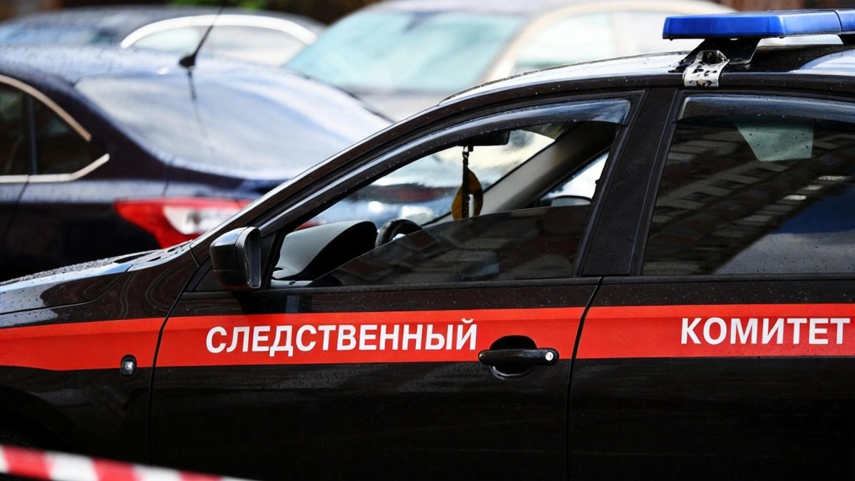 На Камчатке пьяный мужчина с топором убил пожилую пару на глазах соседки
