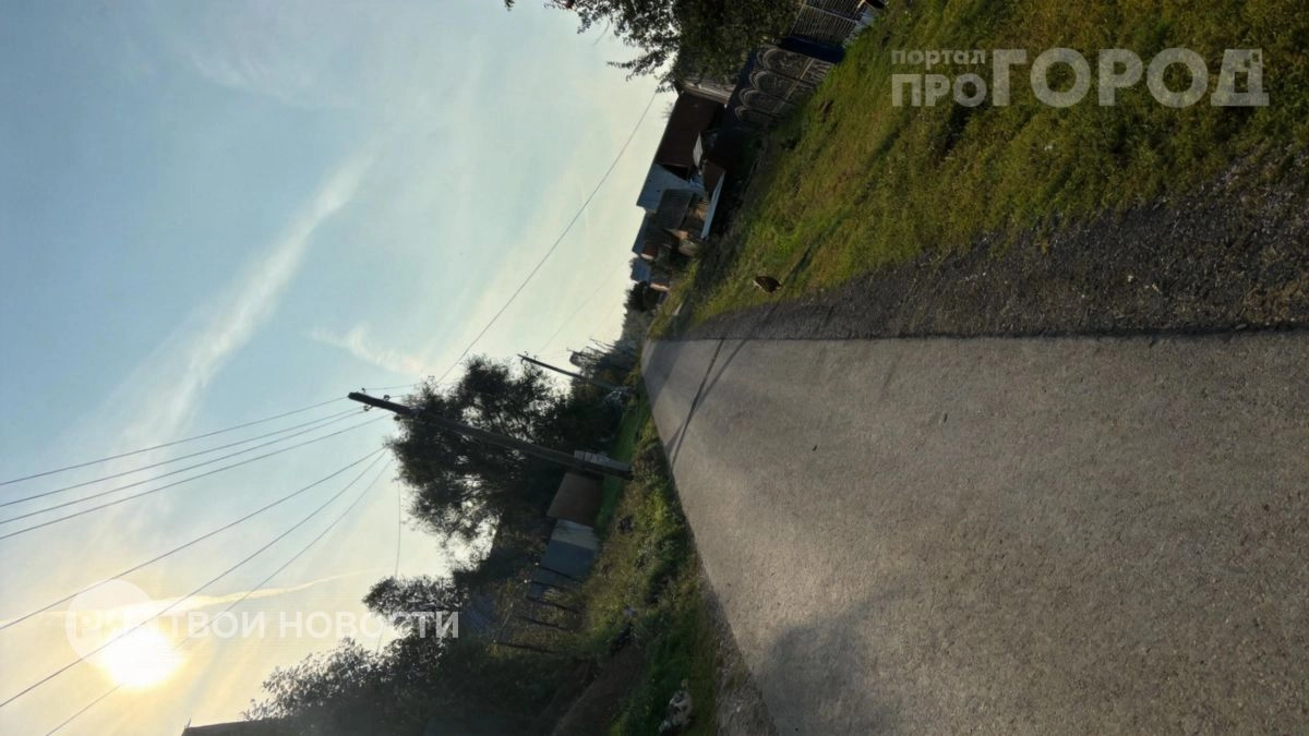 Готовьтесь к проверкам на дорогах к дачам: какие новые запреты для водителей вступают в силу с 1 июня