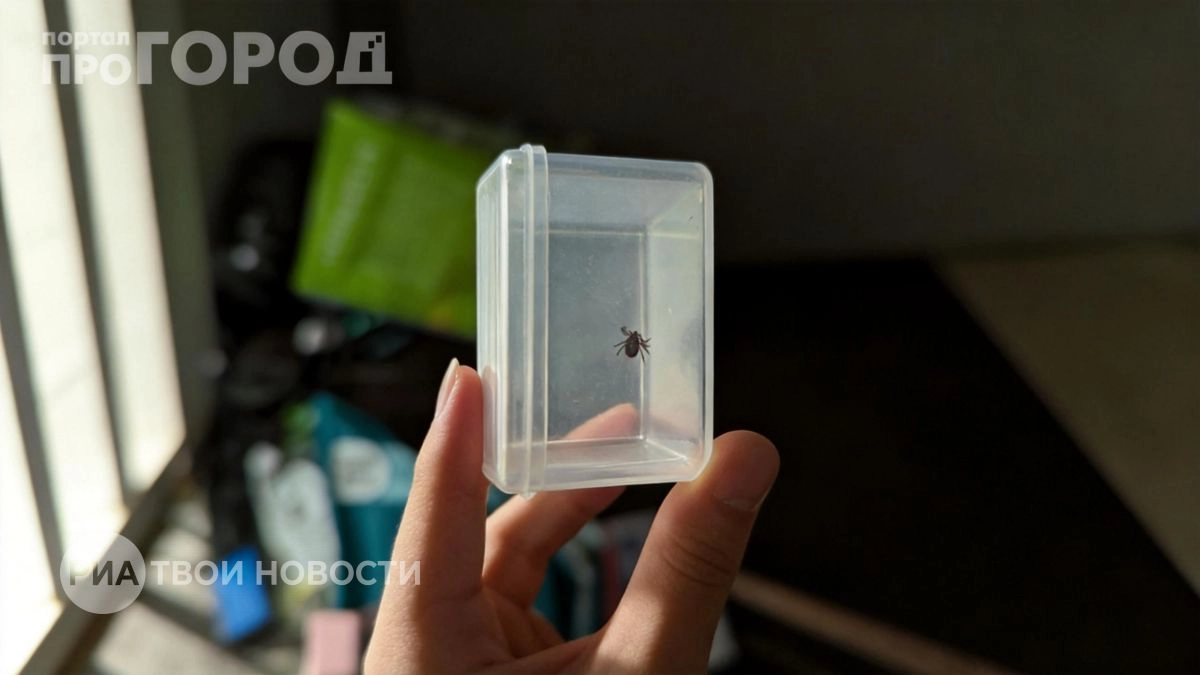 Больше никакой химии в лесу: нанесите эти 2 капли на свои кроссовки и забудьте о клещах до самого вечера