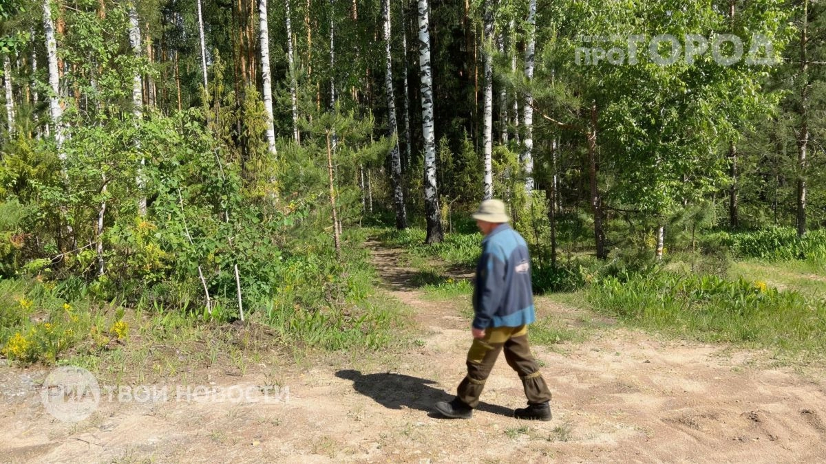 Мошка лезет под одежду и кусает до крови: это аптечное средство за копейки защищает лучше любой химии