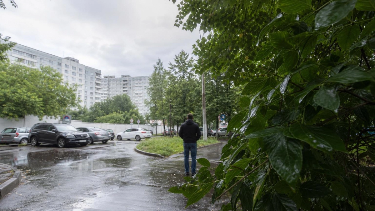В Москве почти всю неделю будут дожди и похолодание до 19 градусов