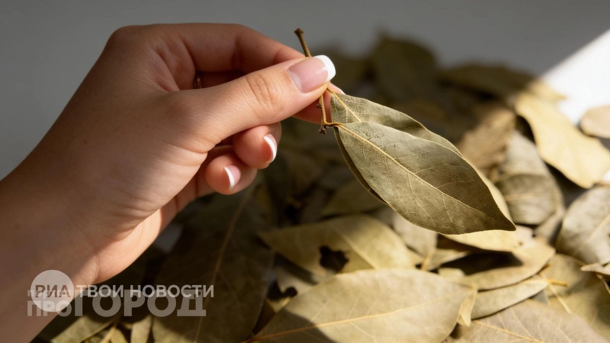 Смешиваю соль с лавровым листом и оставляю в углах: забыла о неприятном запахе и влажности навсегда
