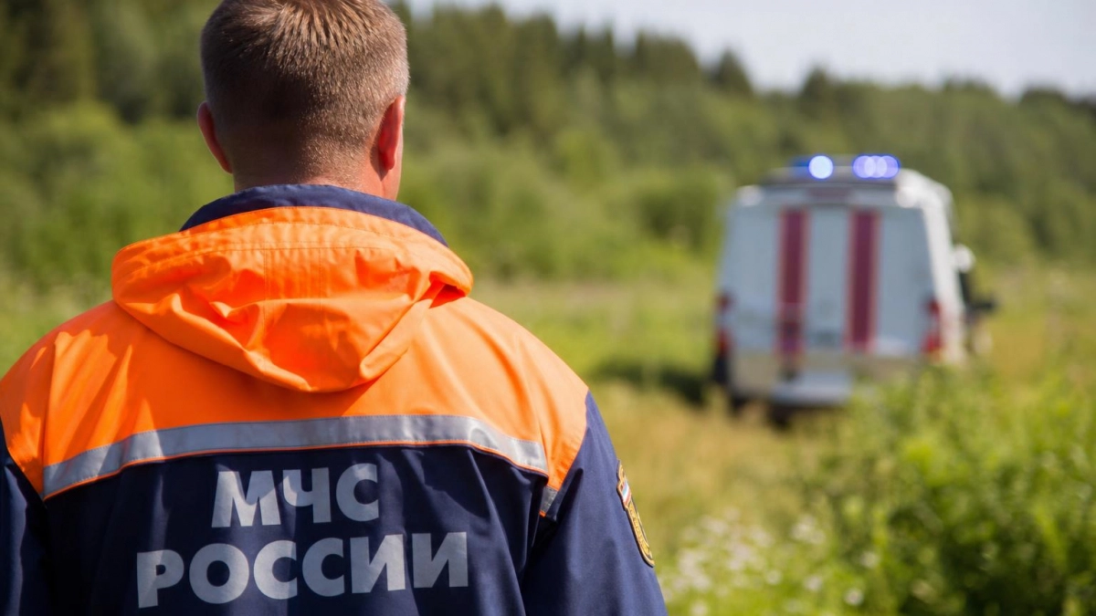 В Подмосковье, вероятно, разбился военный истребитель, летчик успел катапультироваться
