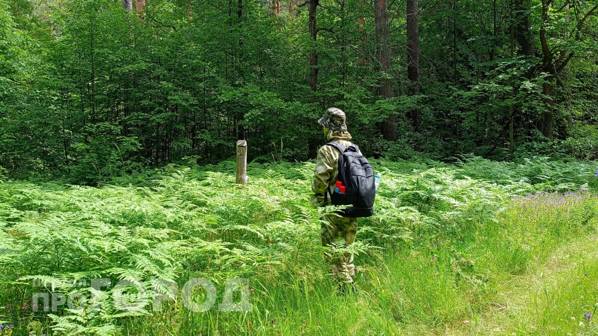 Возьмите это сладкое в лес: спасатели объяснили, почему обычная конфета может спасти вам жизнь в походе