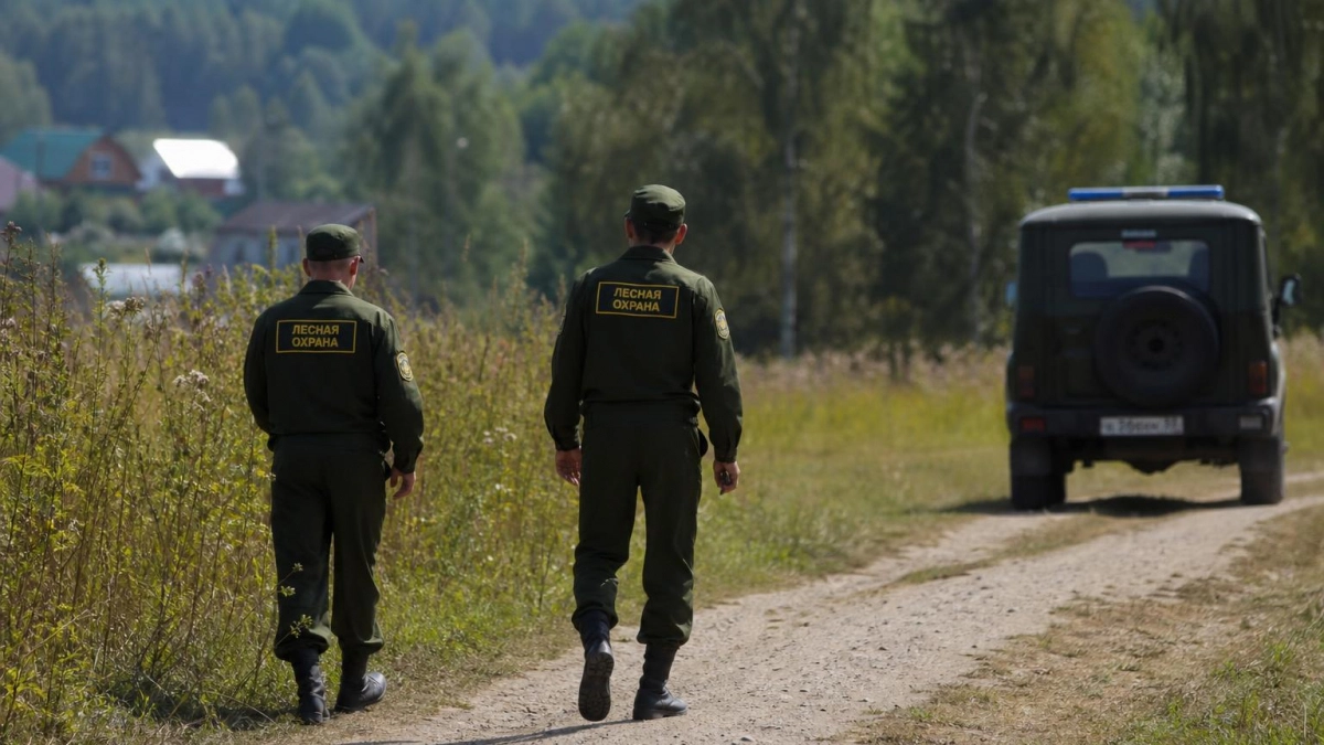 На Курилах застрелили медведя после нападения на коммунальщиков и появления в подъезде