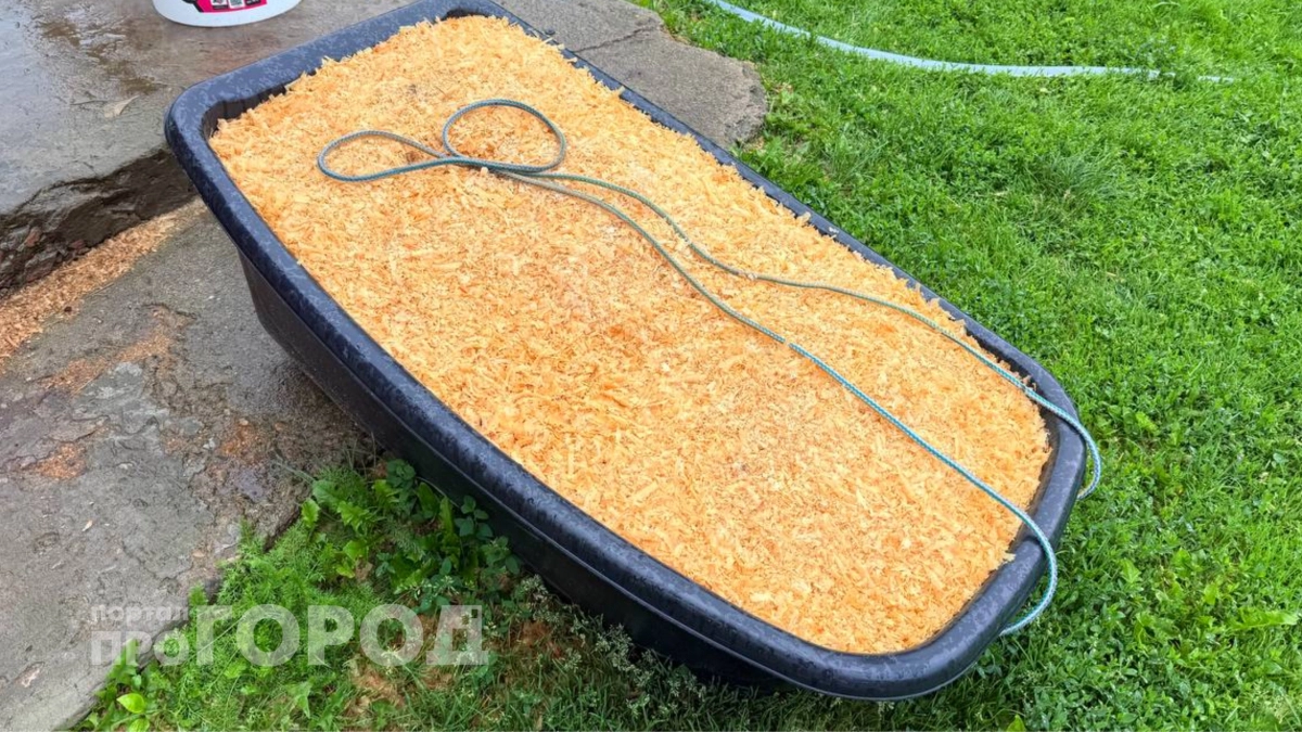 Больше не трачусь на плитку: мои садовые дорожки из подручных средств стали предметом зависти всех соседей