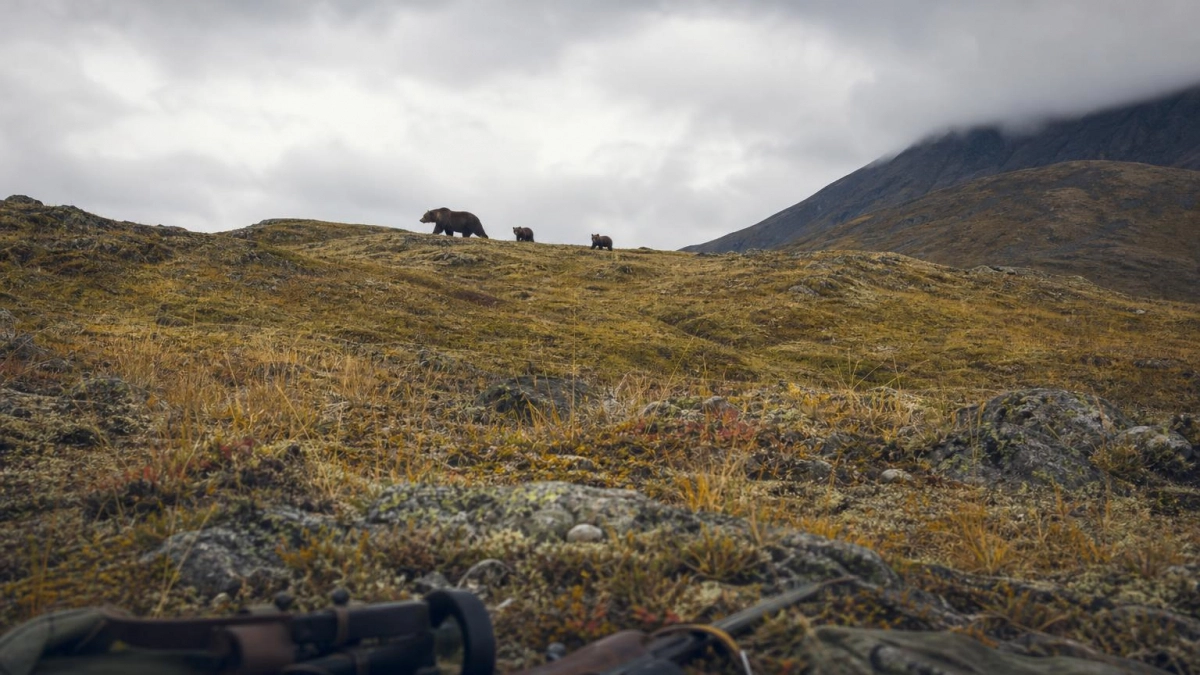 На границе Камчатки и Чукотки медведь напал на охотников, их эвакуировали санавиацией
