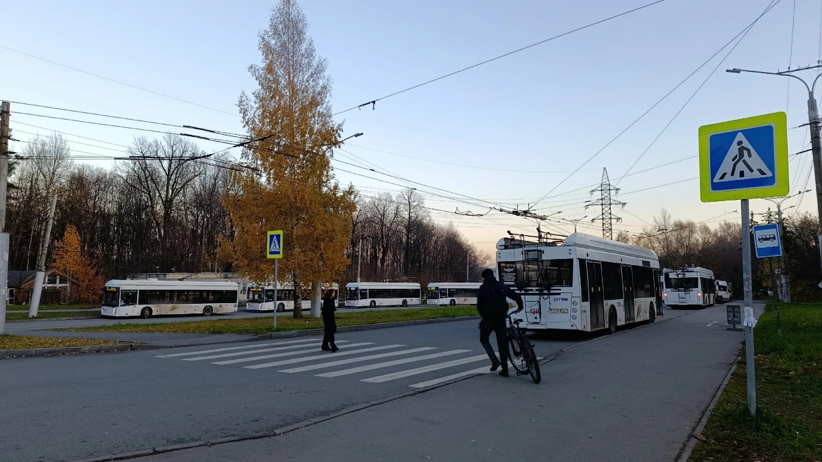 Хватит ждать пешехода на зебре: как правильно проехать переход и не получить штраф от инспектора ГИБДД
