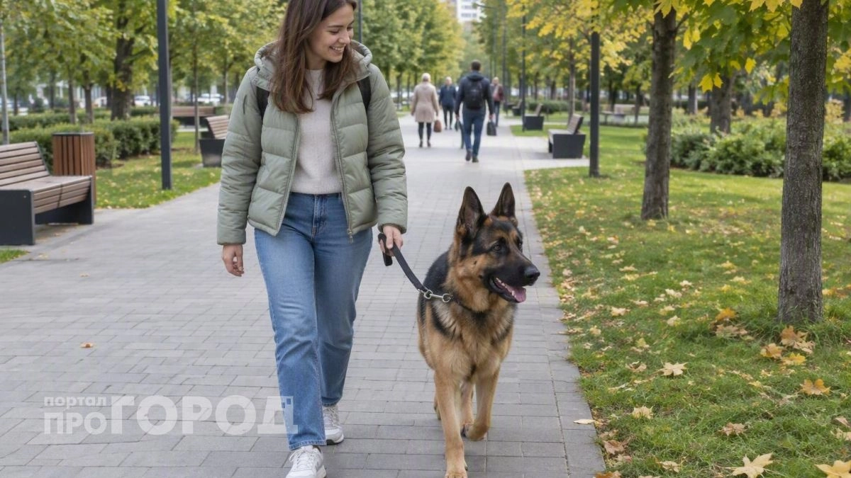 Ваша идеальная порода собаки по знаку зодиака: астрологический гид поможет найти верного четвероногого друга