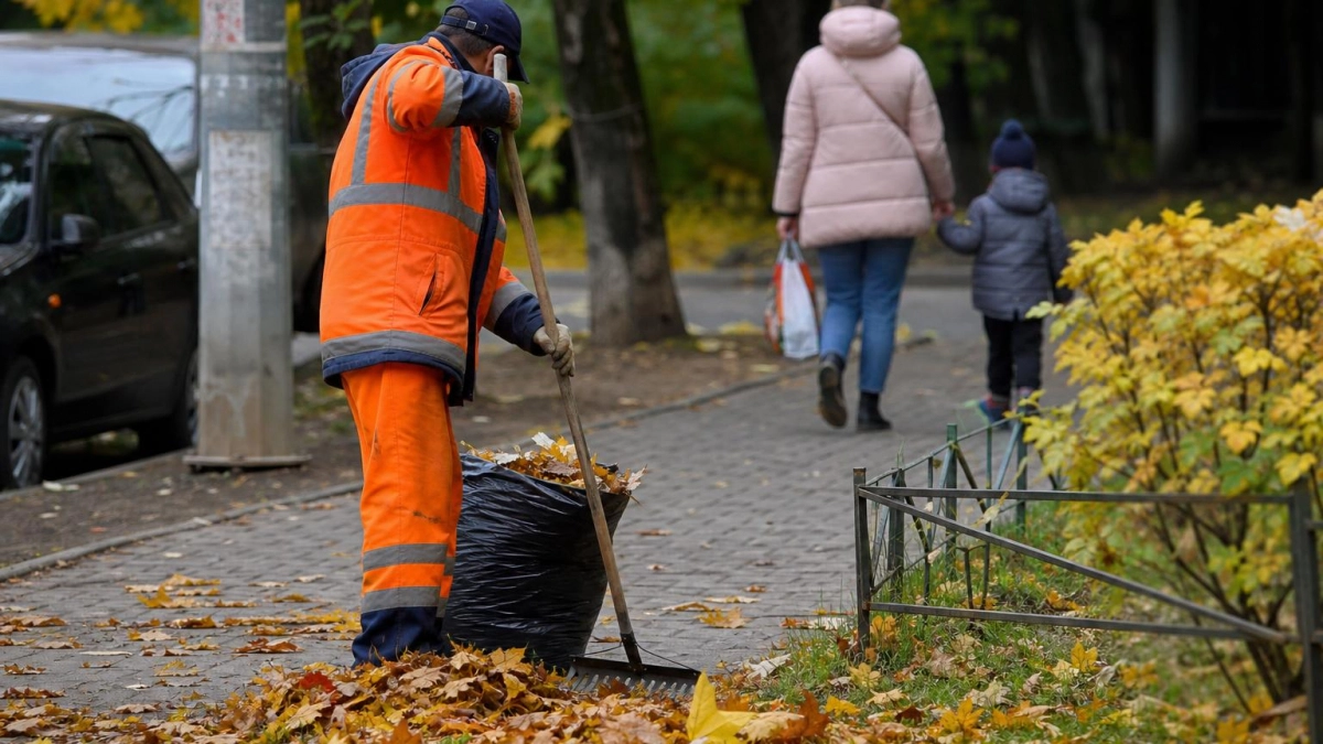 Бондарь напомнил, что убирать опавшие листья во дворах обязана управляющая компания