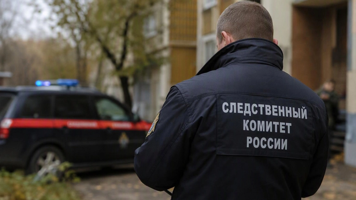 В Ульяновске вернувшийся из тюрьмы мужчина убил мать и отчима после ссоры