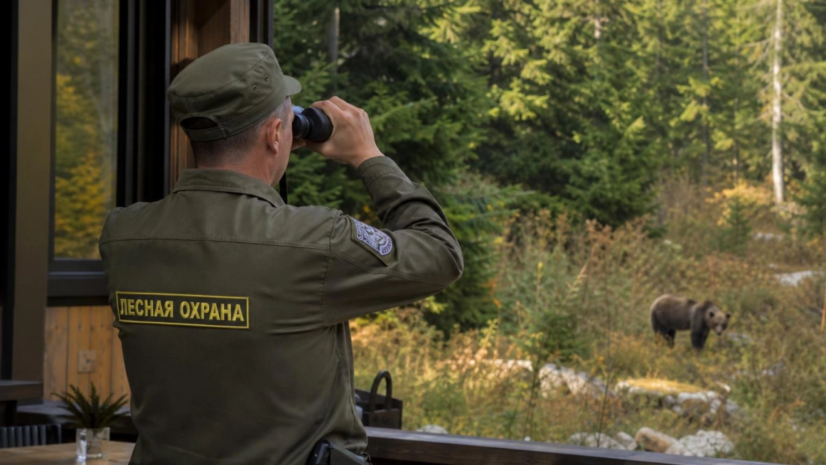 К ресторану на Красной Поляне вышел медведь и напугал посетителей