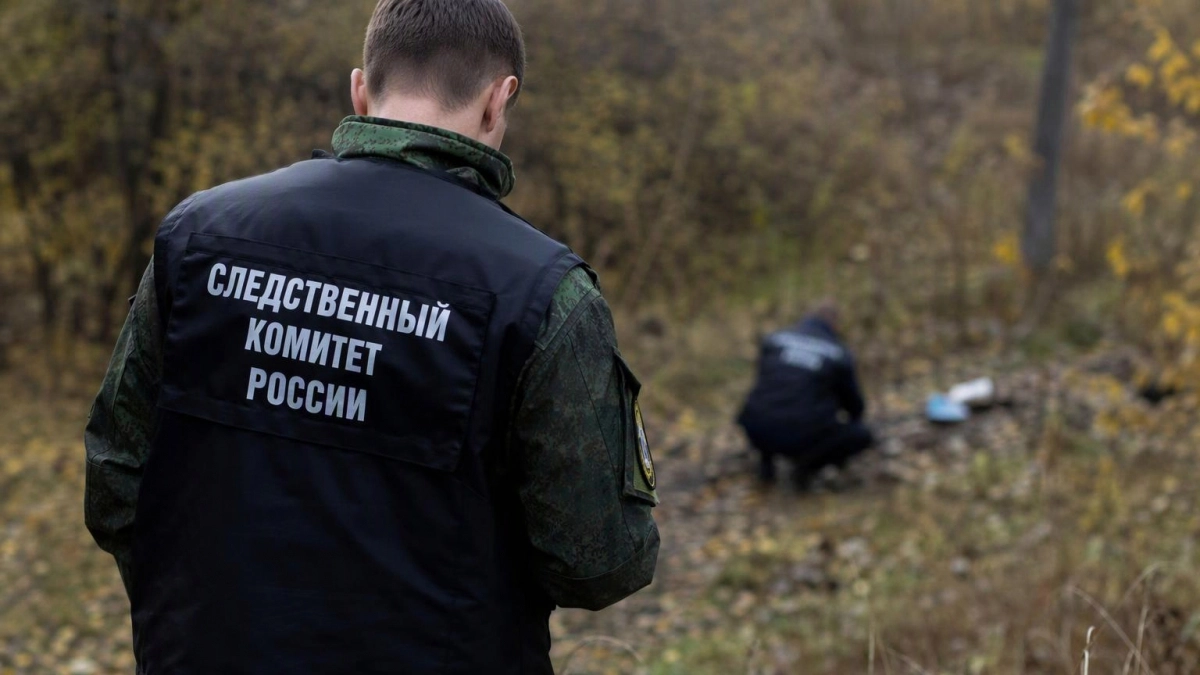 ТАСС: военнопленного с GPS-ошейником подорвали после отказа идти к позициям РФ