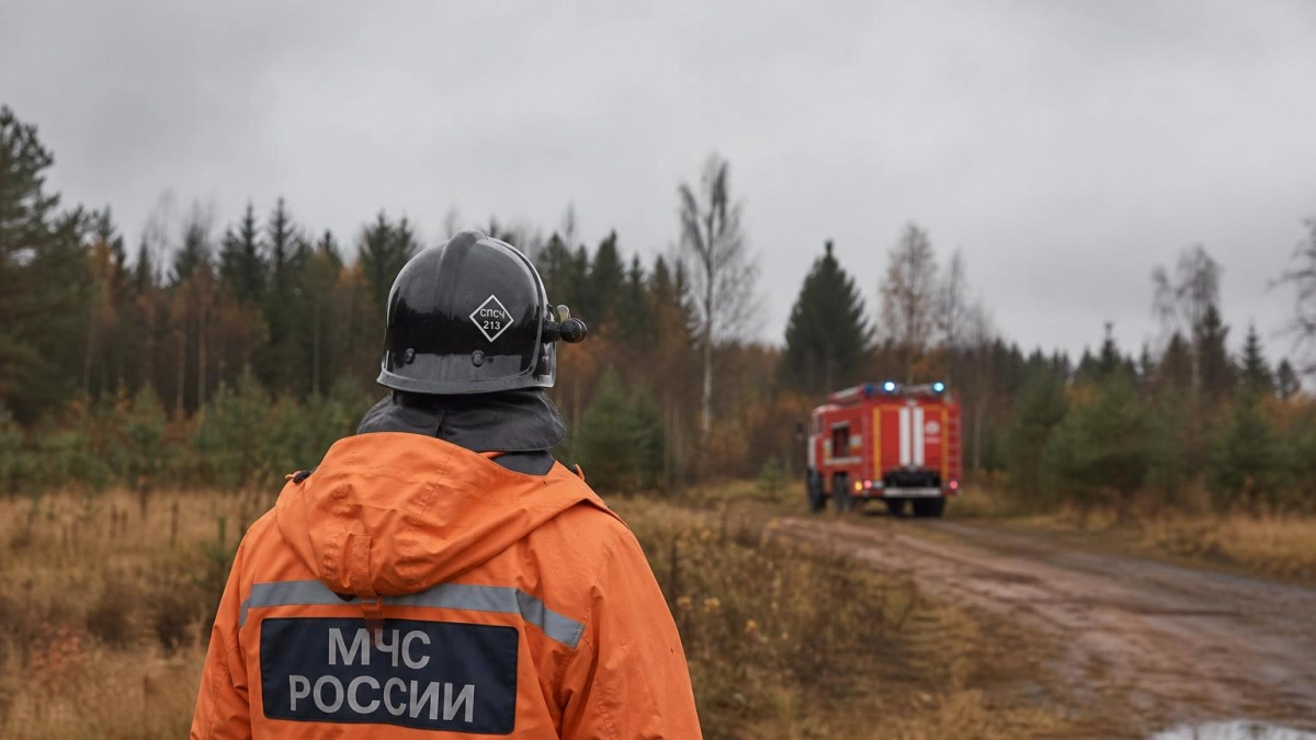 В Ленинградской области за вечер сбили 28 беспилотников
