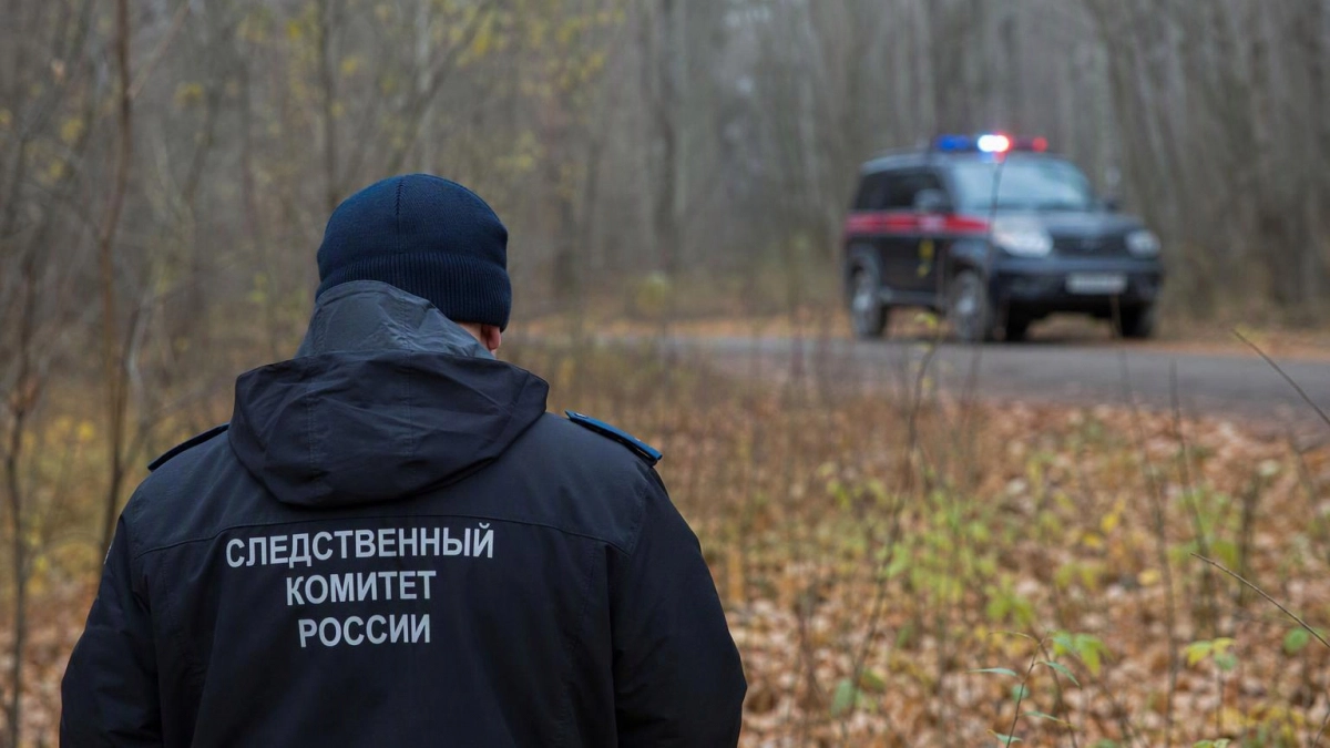 Под Тюменью нашли в лесу тело пропавшей женщины, задержан бывший муж