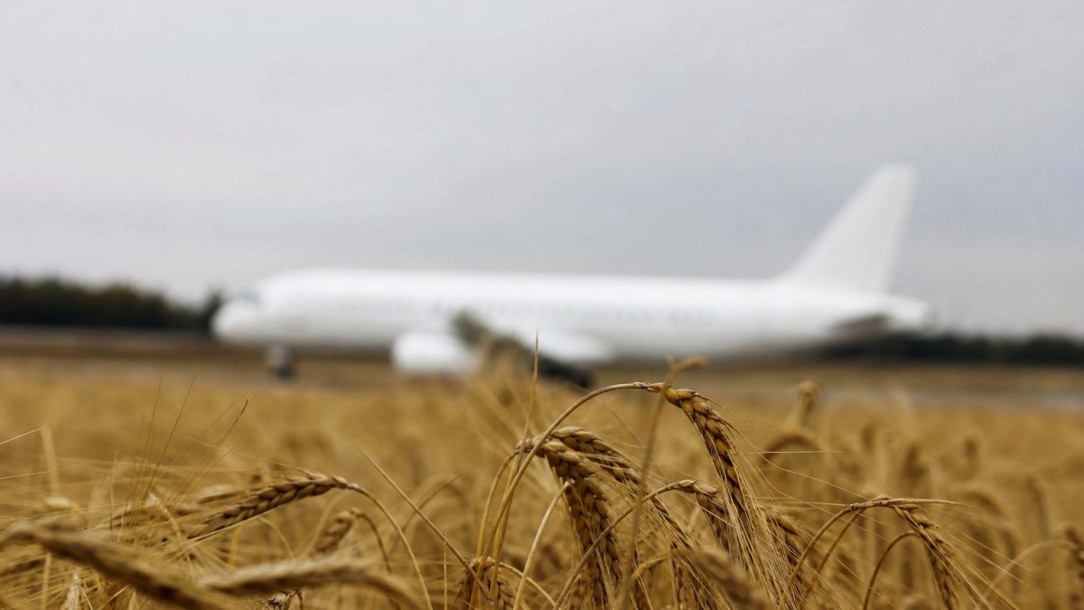 Посадившему самолет в пшеничном поле пилоту Белову грозит иск на 127 млн рублей